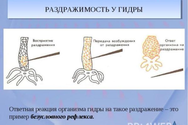 Kraken ссылки актуальные 2025 г