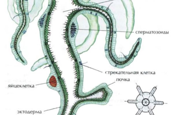 Кракен даркнет регистрация