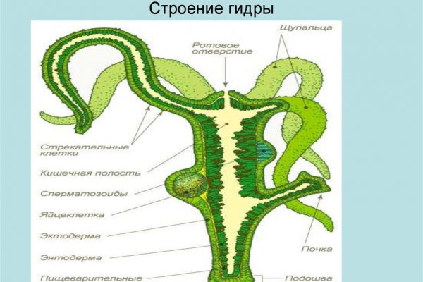 Кракен ориг ссылка