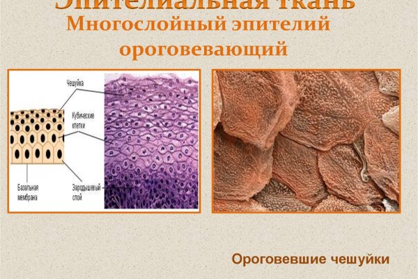 Кракен это современный даркнет маркет плейс